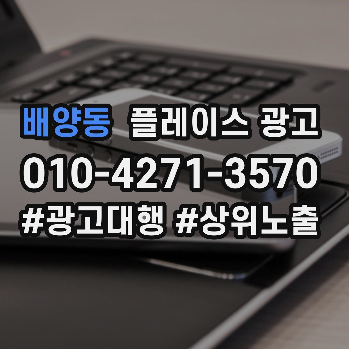 배양동 플레이스 광고