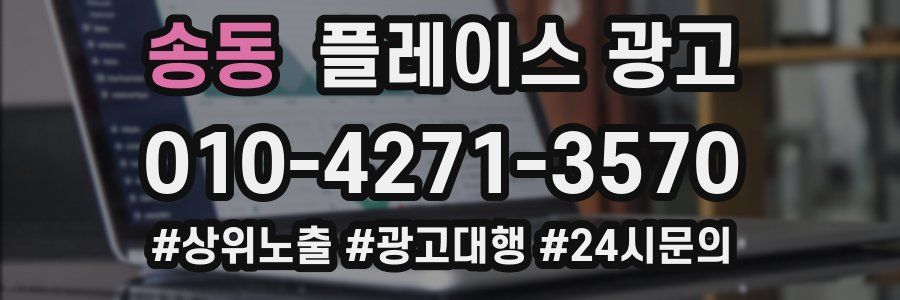 송동 플레이스 광고