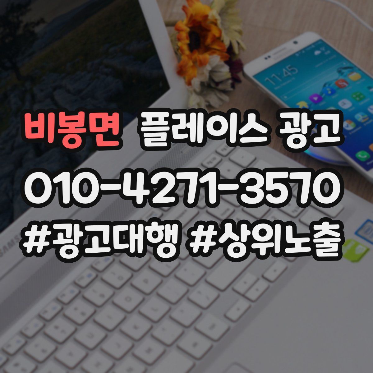 비봉면 플레이스 광고