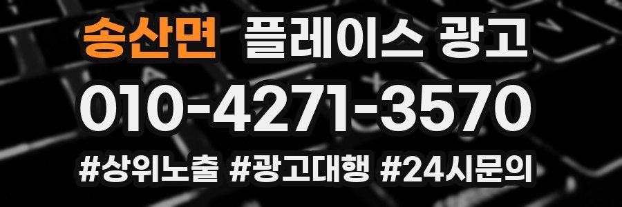 송산면 플레이스 광고