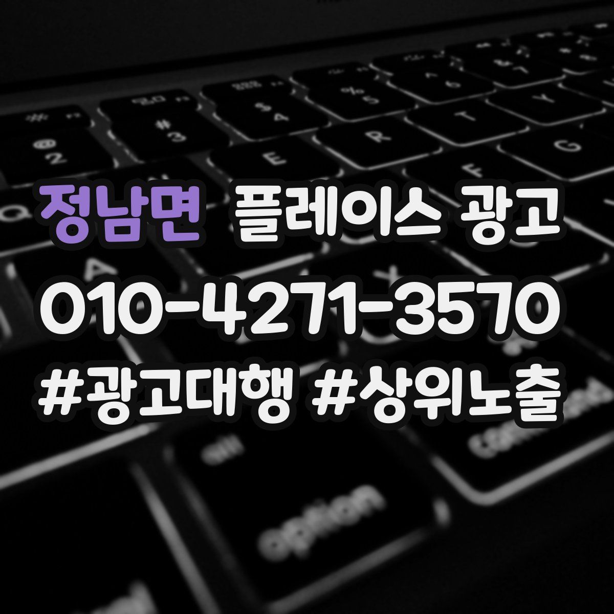 정남면 플레이스 광고