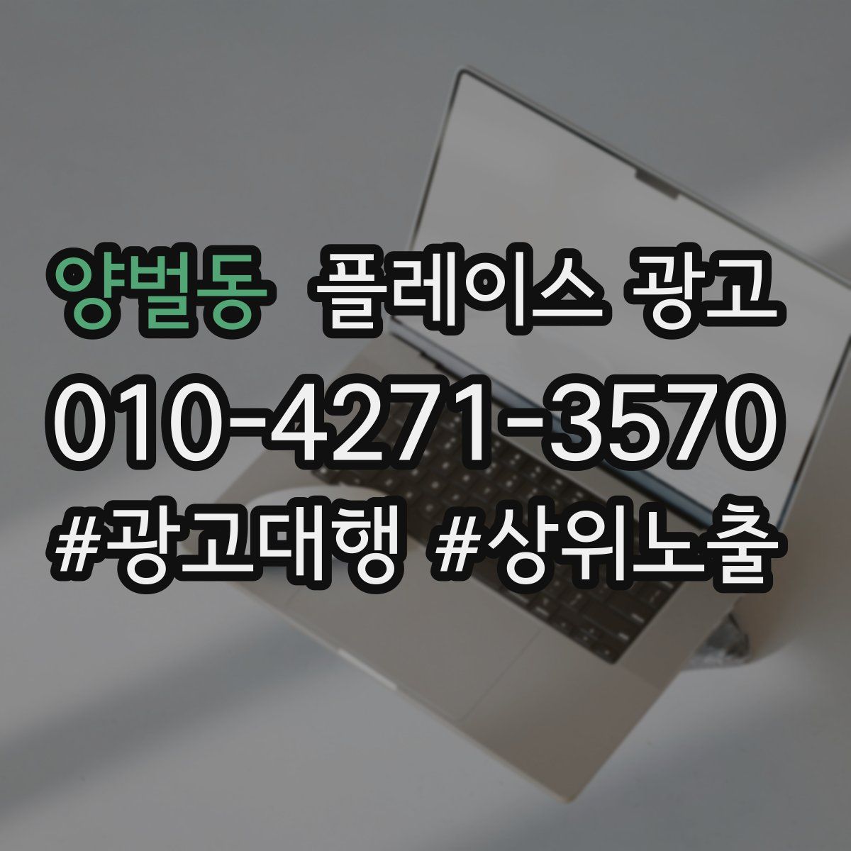 양벌동 플레이스 광고