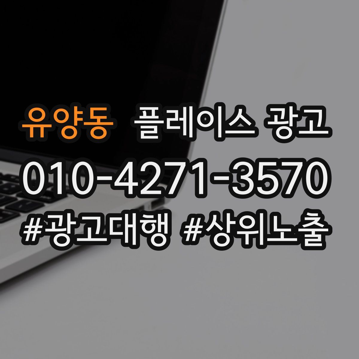 유양동 플레이스 광고