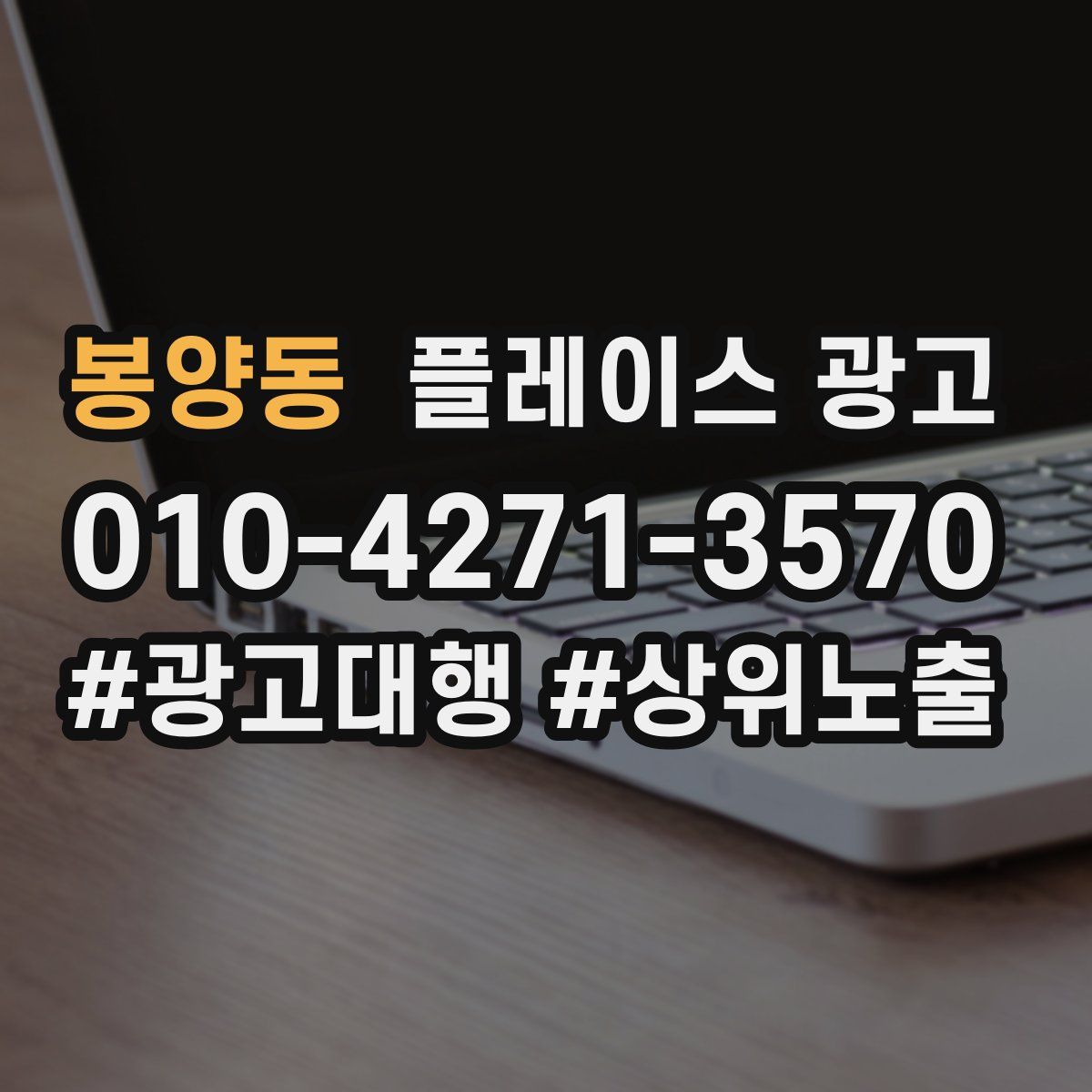 봉양동 플레이스 광고