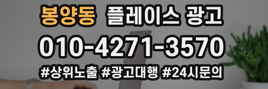 봉양동 플레이스 광고