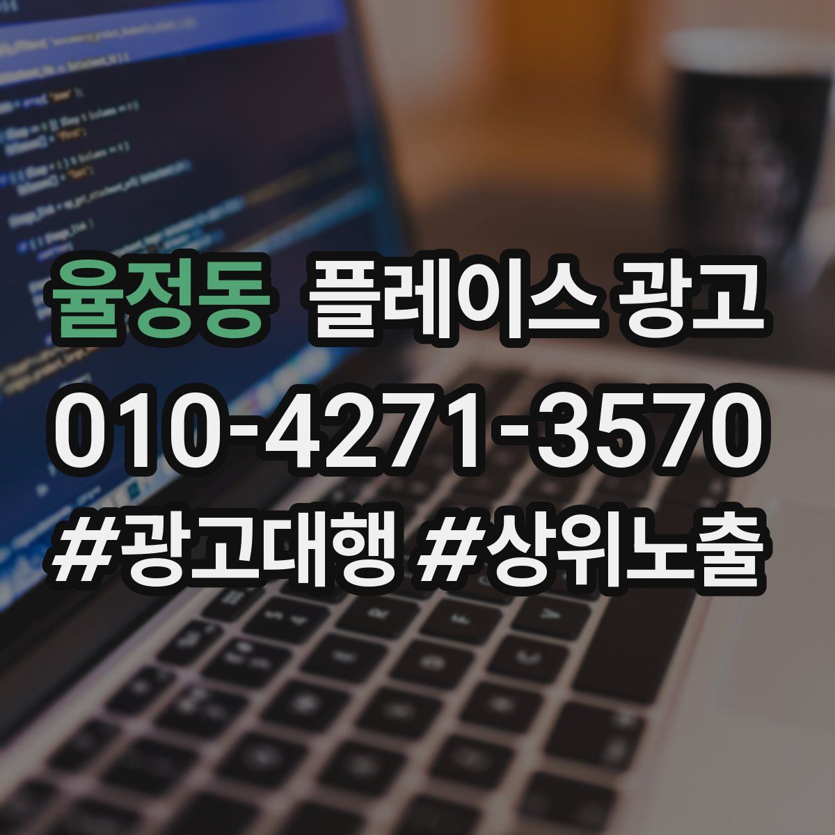 율정동 플레이스 광고