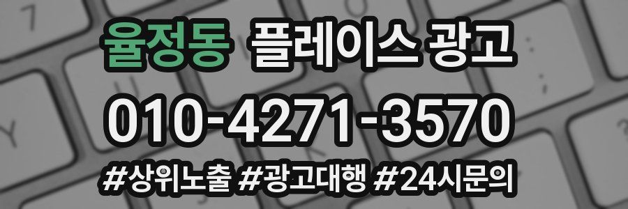 율정동 플레이스 광고