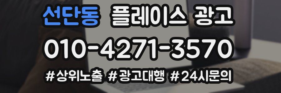 선단동 플레이스 광고