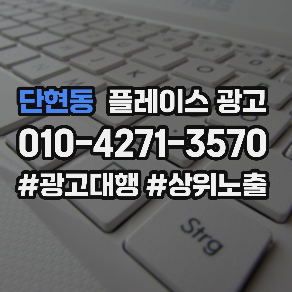 단현동 플레이스 광고