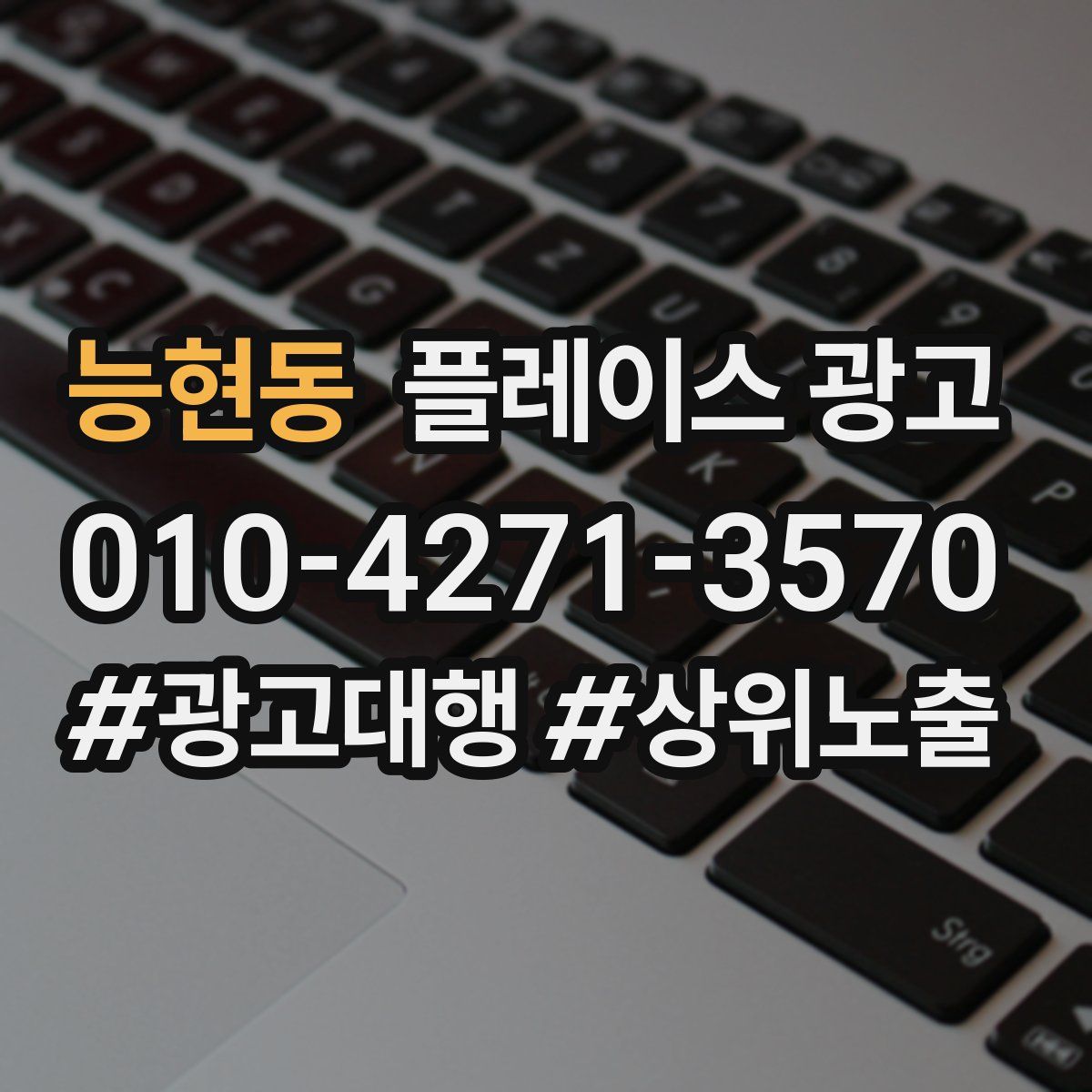 능현동 플레이스 광고