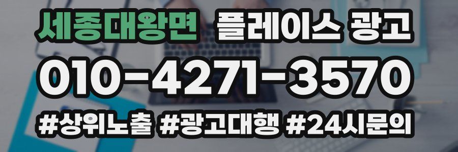 세종대왕면 플레이스 광고