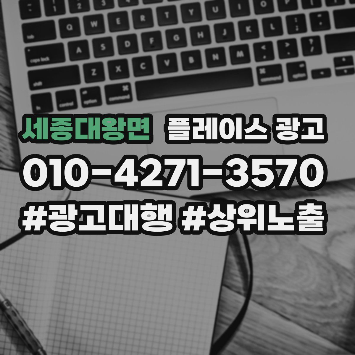 세종대왕면 플레이스 광고