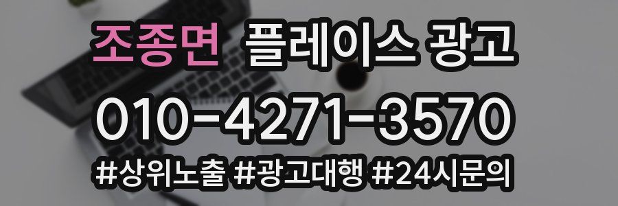 조종면 플레이스 광고