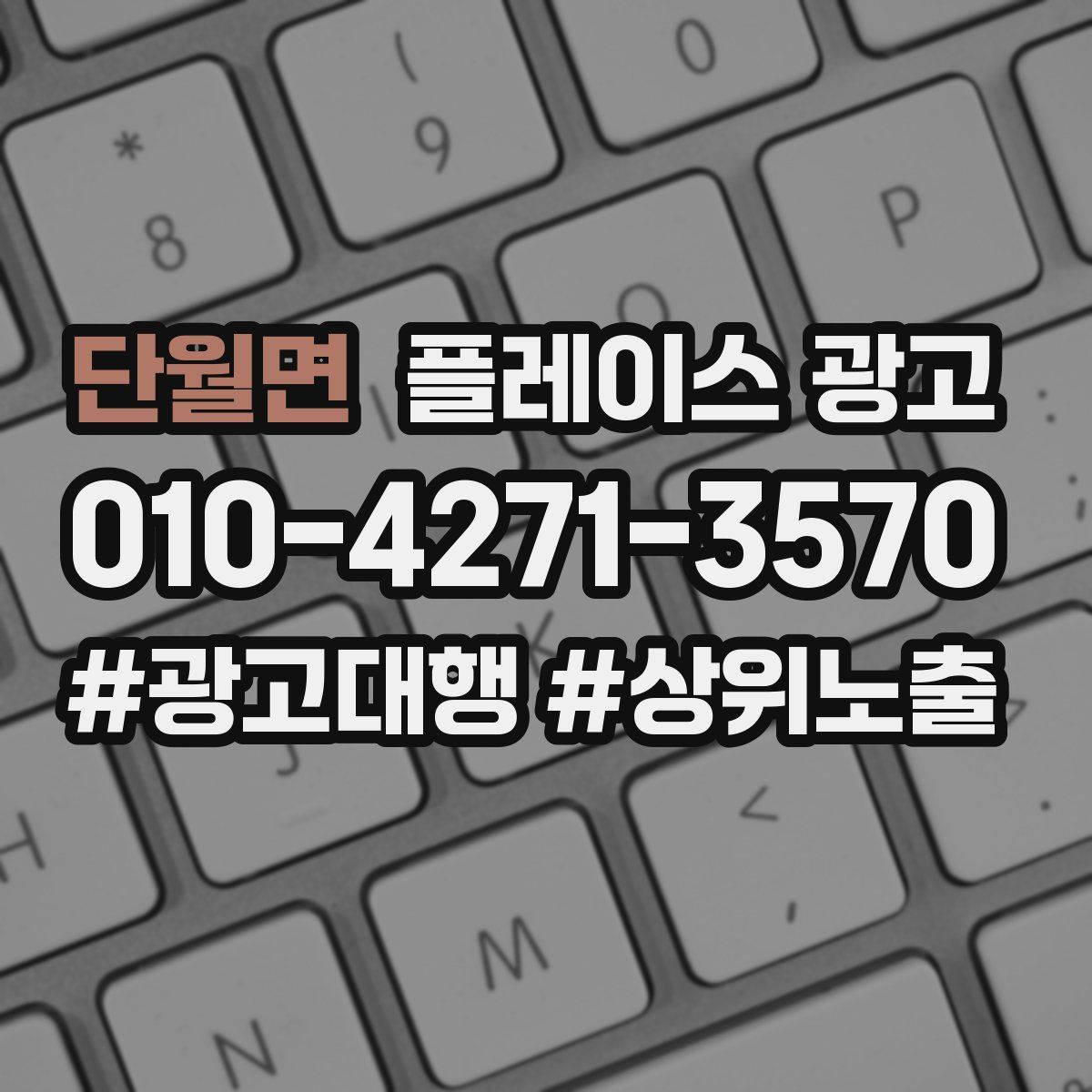 단월면 플레이스 광고