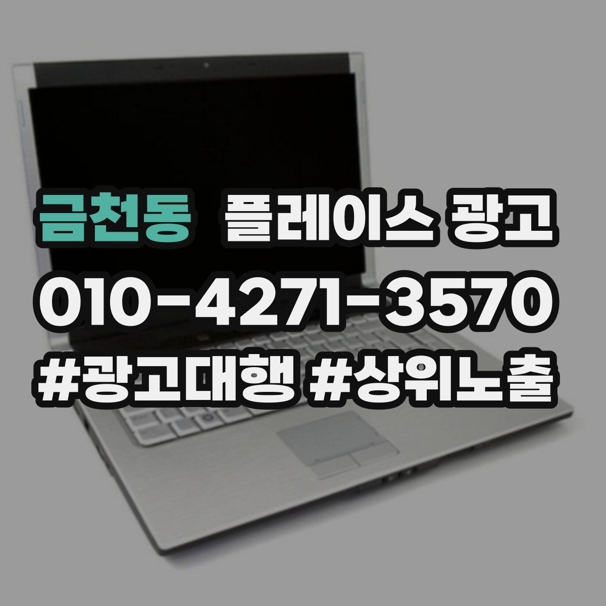 금천동 플레이스 광고
