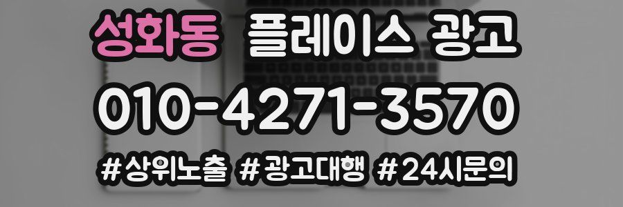 성화동 플레이스 광고