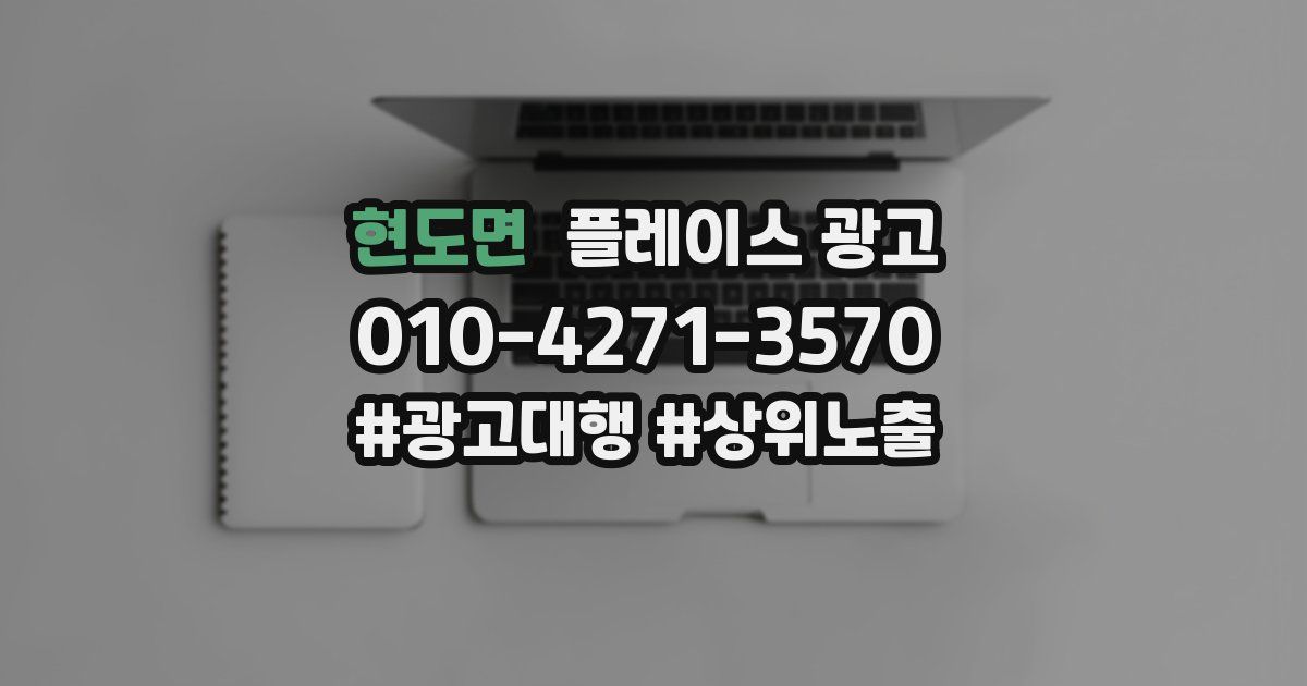 현도면 플레이스 광고