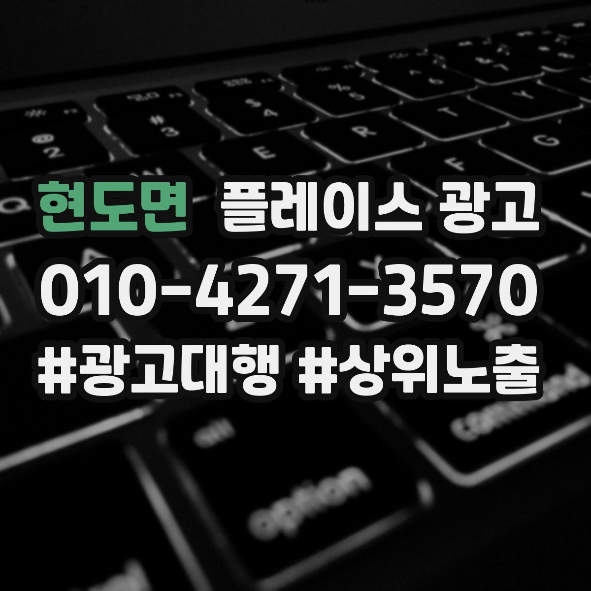 현도면 플레이스 광고