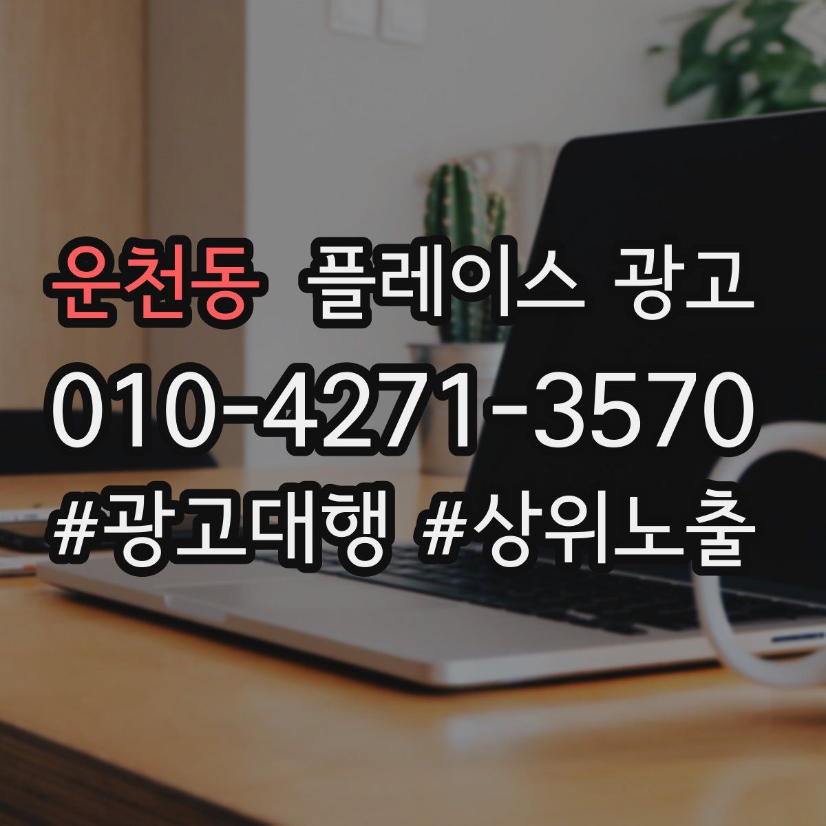 운천동 플레이스 광고