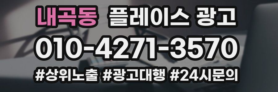 내곡동 플레이스 광고