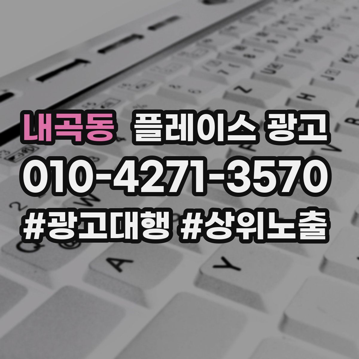 내곡동 플레이스 광고