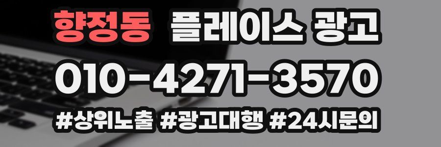 향정동 플레이스 광고