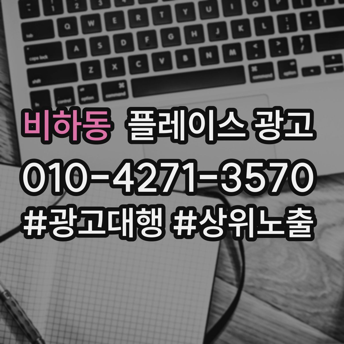 비하동 플레이스 광고