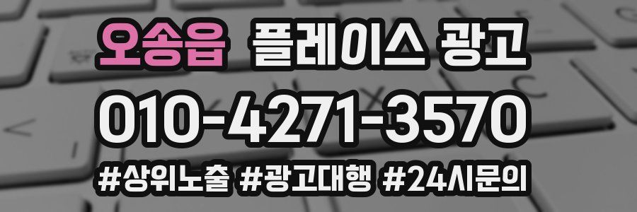 오송읍 플레이스 광고