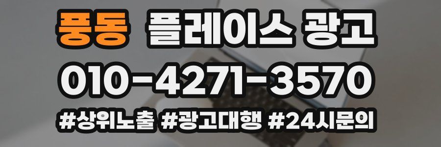 풍동 플레이스 광고