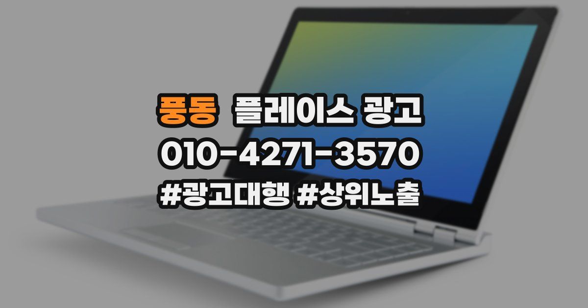 풍동 플레이스 광고