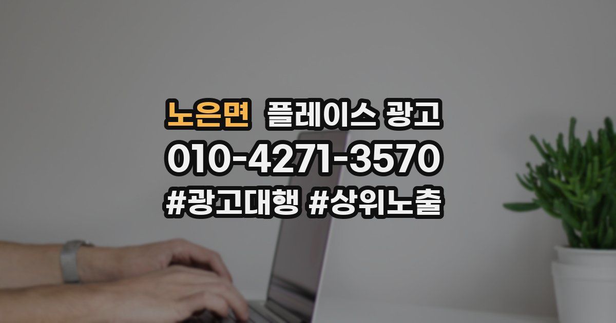 노은면 플레이스 광고