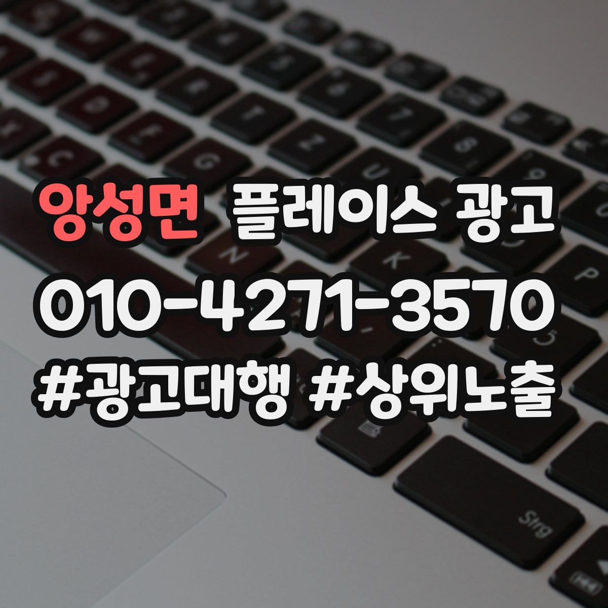 앙성면 플레이스 광고