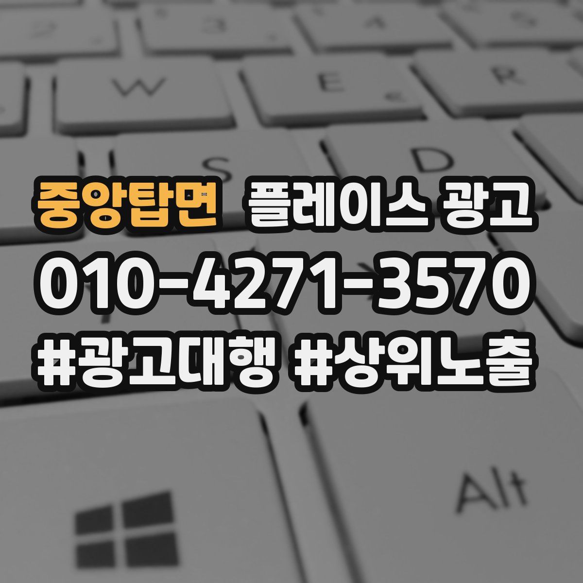 중앙탑면 플레이스 광고
