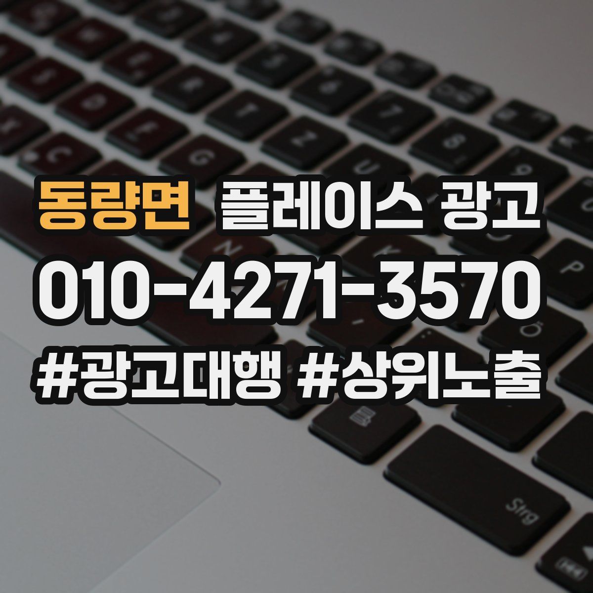 동량면 플레이스 광고