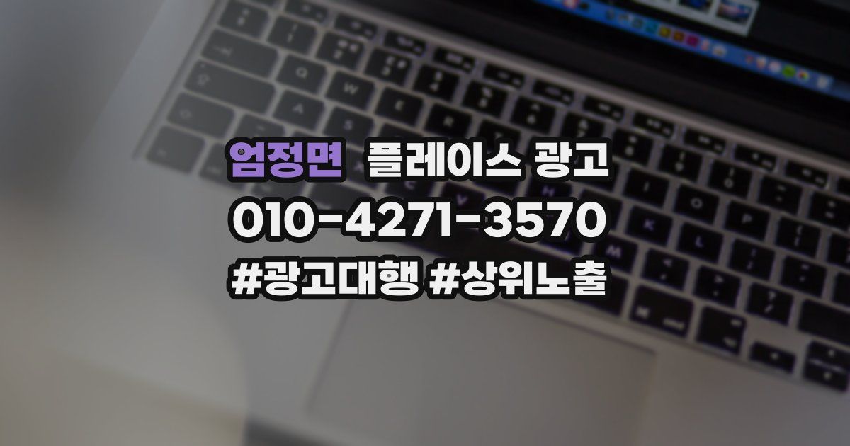 엄정면 플레이스 광고