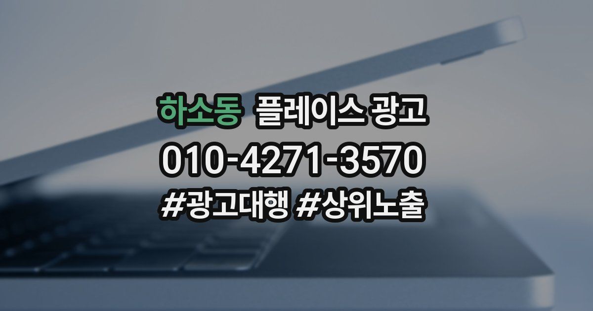 하소동 플레이스 광고