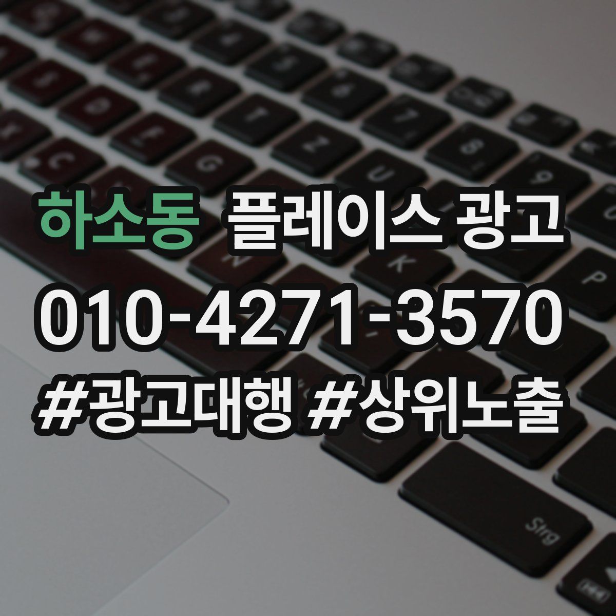 하소동 플레이스 광고