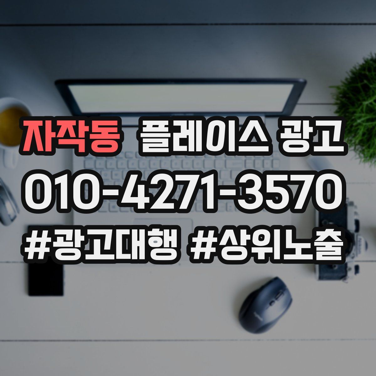 자작동 플레이스 광고