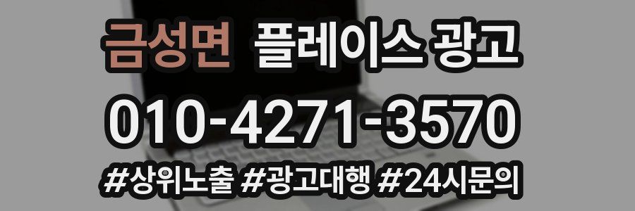 금성면 플레이스 광고