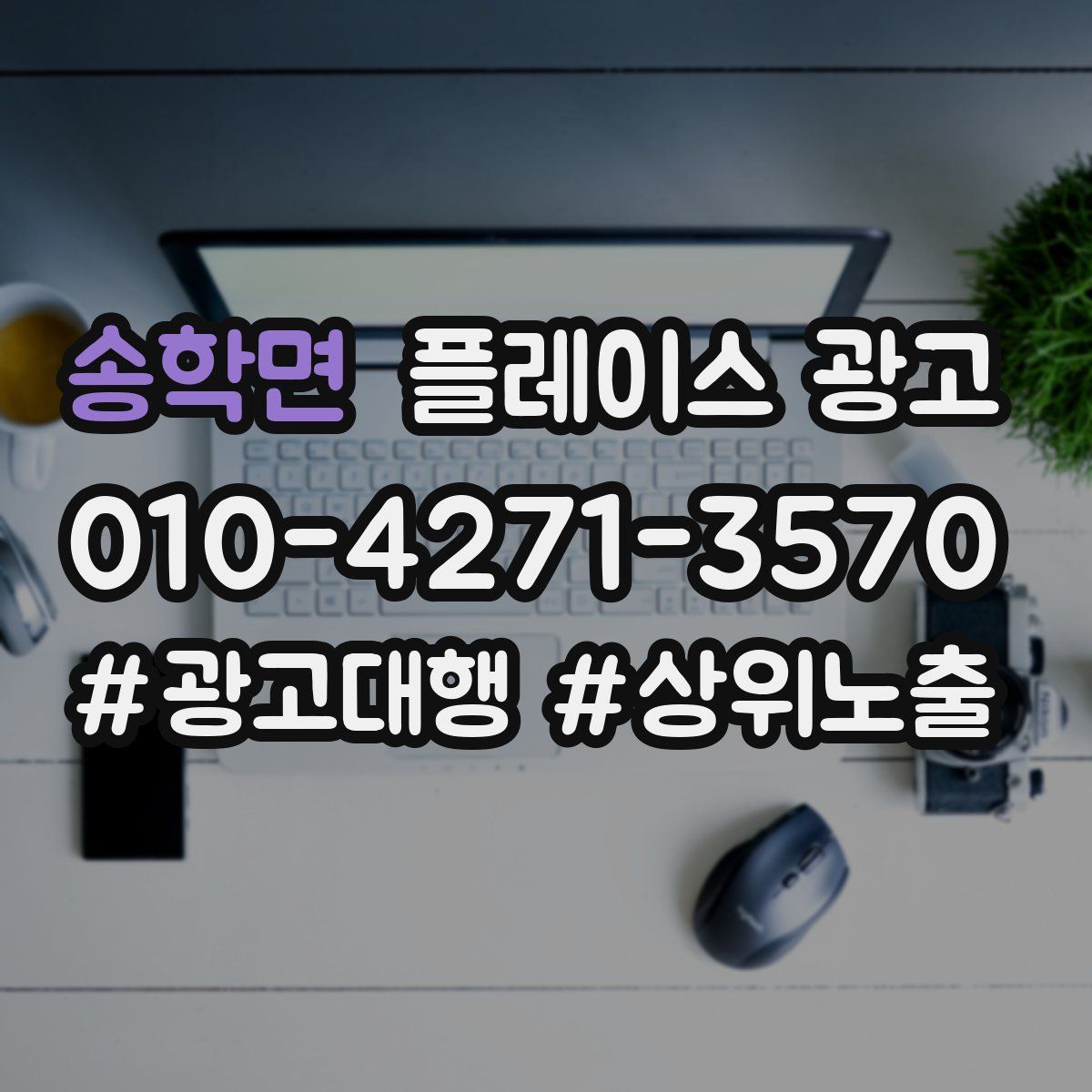 송학면 플레이스 광고
