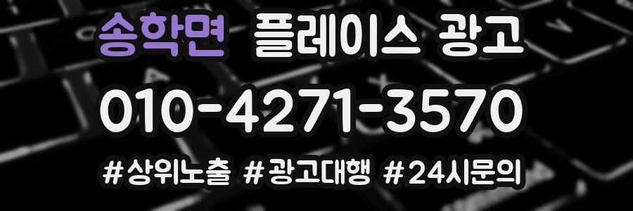 송학면 플레이스 광고