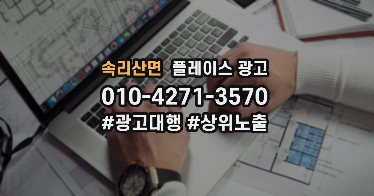 속리산면 플레이스 광고