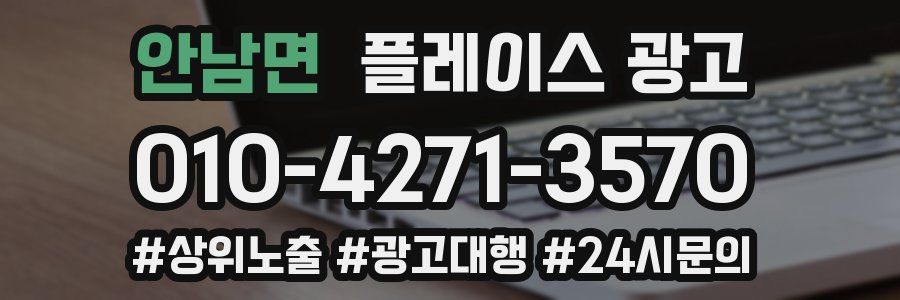 안남면 플레이스 광고