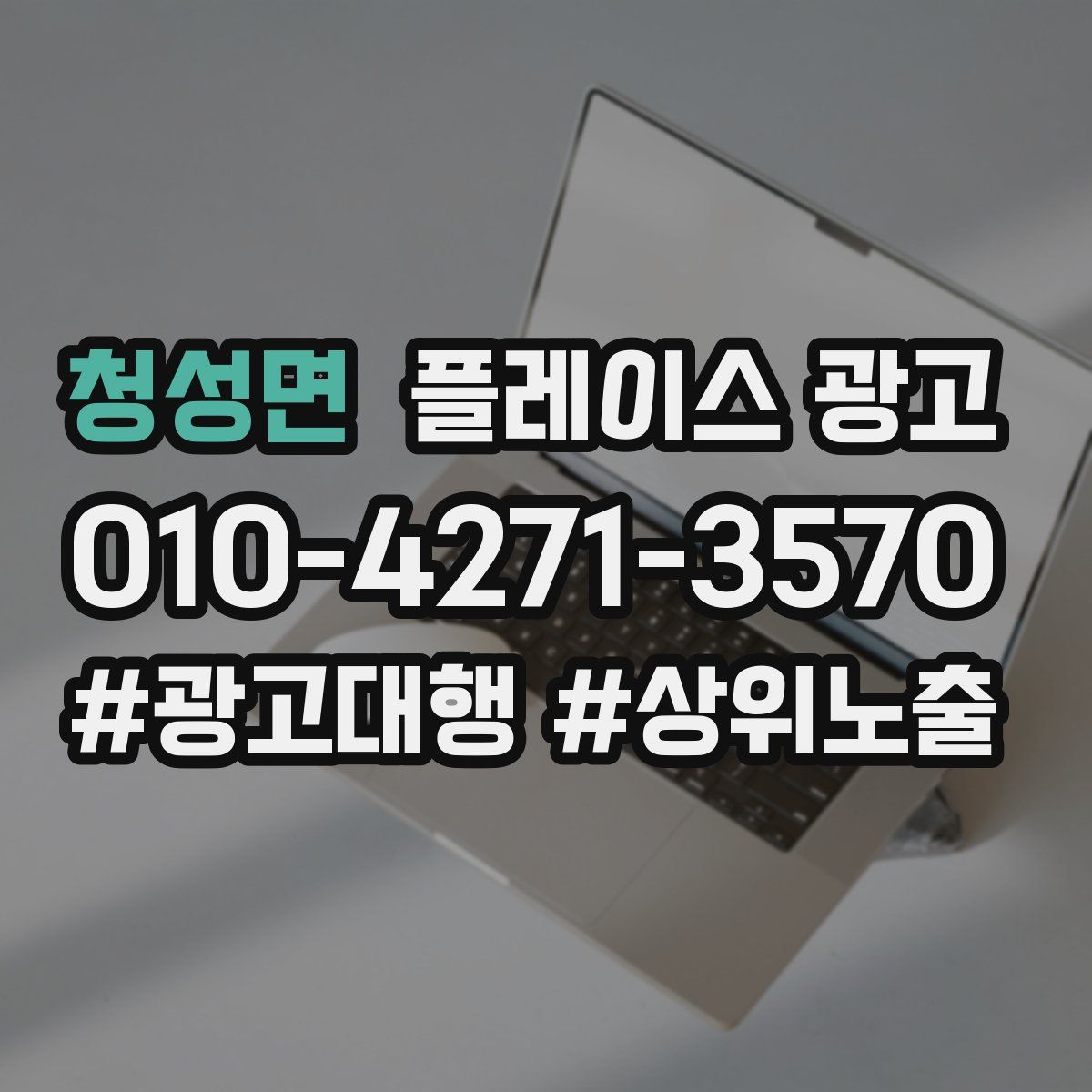 청성면 플레이스 광고