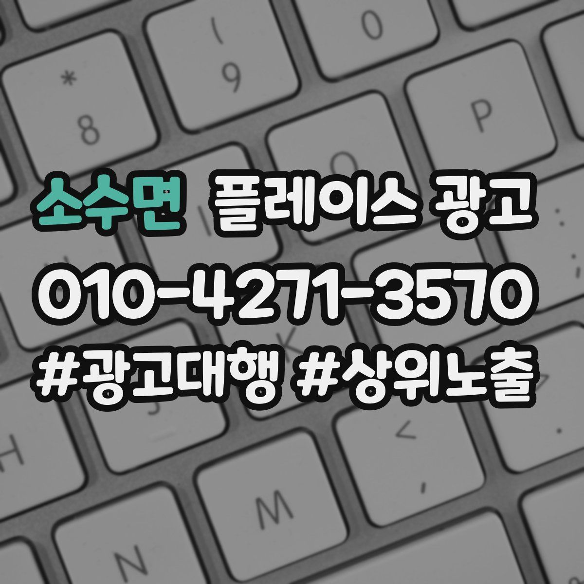 소수면 플레이스 광고