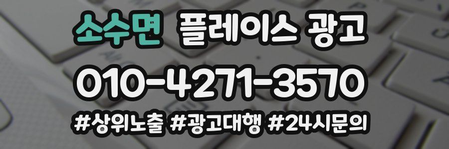 소수면 플레이스 광고