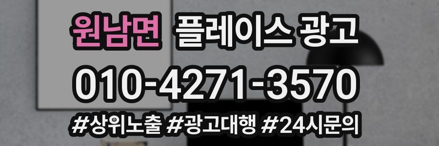원남면 플레이스 광고