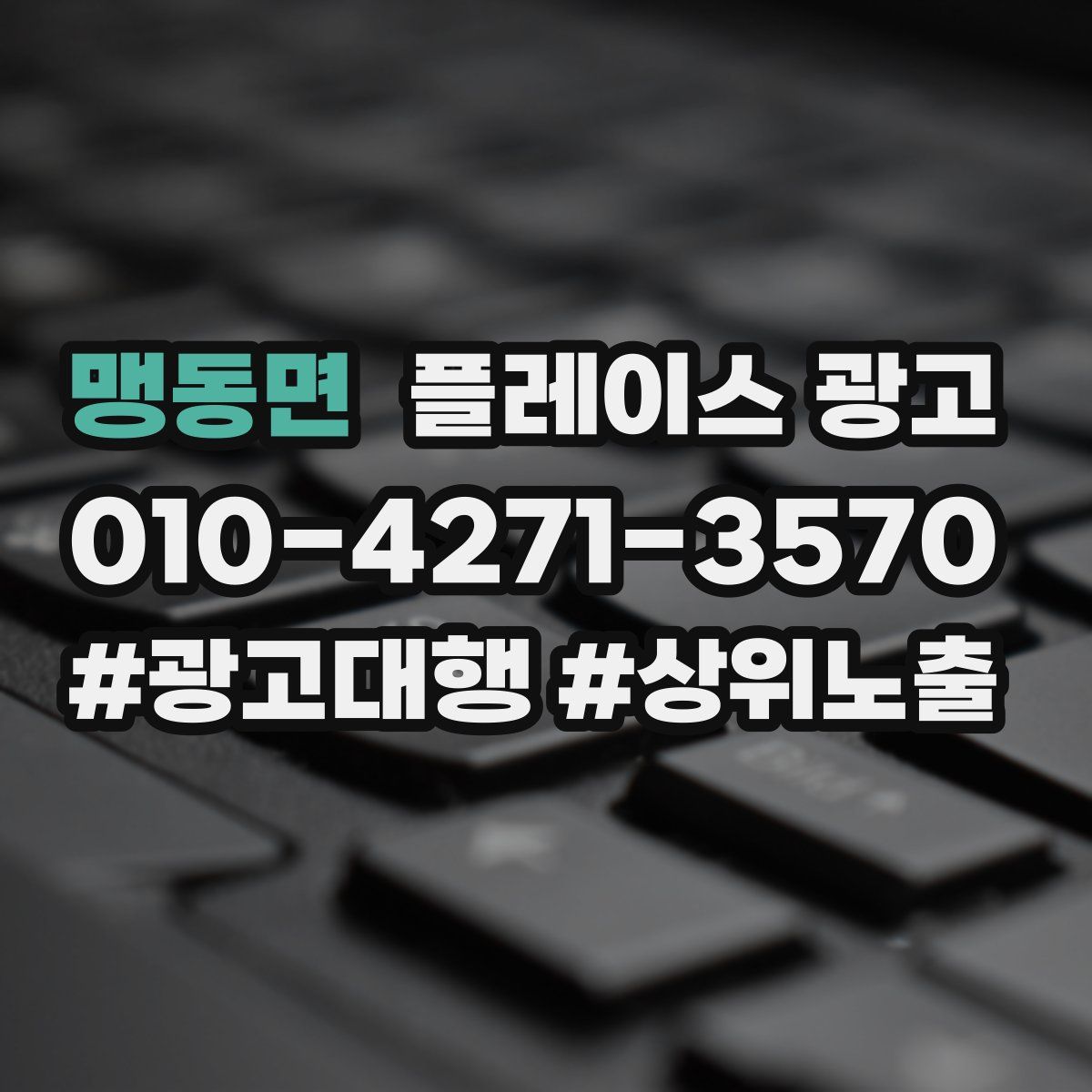 맹동면 플레이스 광고