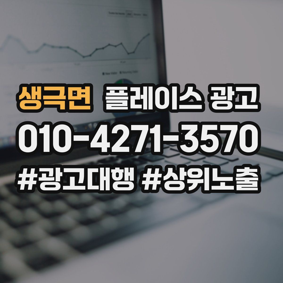 생극면 플레이스 광고