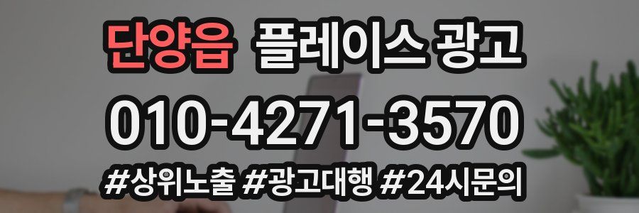 단양읍 플레이스 광고